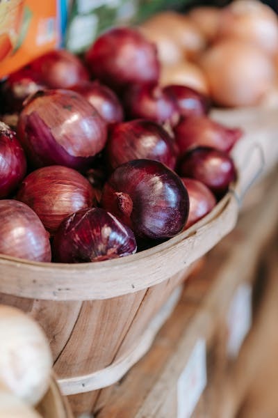 Preserving Onions: The Role of Cold Storage in Reducing Post-Harvest Losses